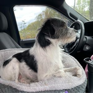 Meet your Posher, Kristin